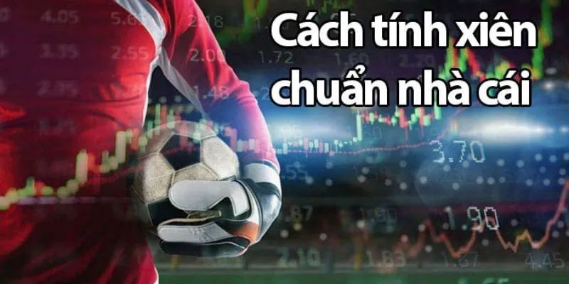 Soi kèo xiên Các bước cơ bản khi soi kèo xiên hiệu quả