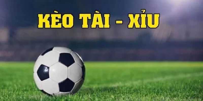 Các loại kèo phổ biến và cách đọc tỷ lệ kèo chính xác