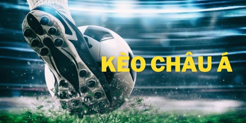 kèo nhà cái đêm nay Các loại kèo phổ biến xuất hiện trong kèo nhà cái đêm nay