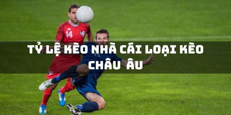 tỷ lệ kèo chuẩn Các loại tỷ lệ kèo phổ biến và cách phân biệt