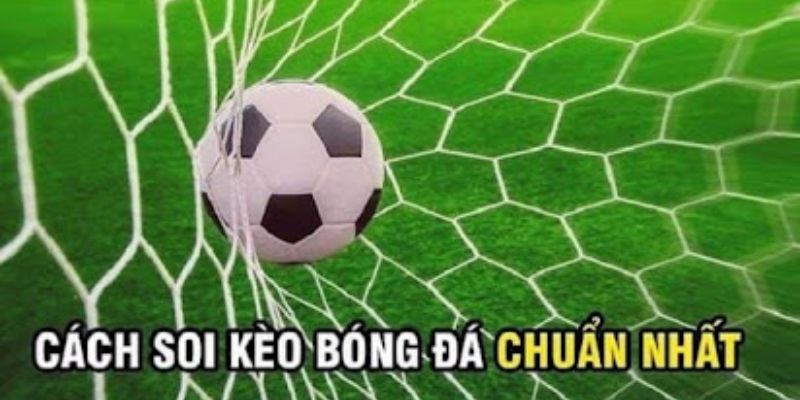 Cách đọc tỷ lệ kèo hôm nay chuẩn như dân chuyên