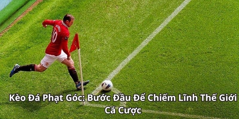 Soi kèo phạt góc Chiến thuật soi kèo phạt góc hiệu quả từ chuyên gia