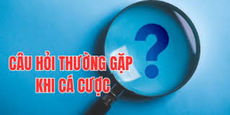 Câu hỏi thường gặp Giới thiệu hệ thống câu hỏi thường gặp của người chơi cá cược