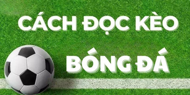 Tại sao cần hiểu rõ cách đọc tỷ lệ kèo?