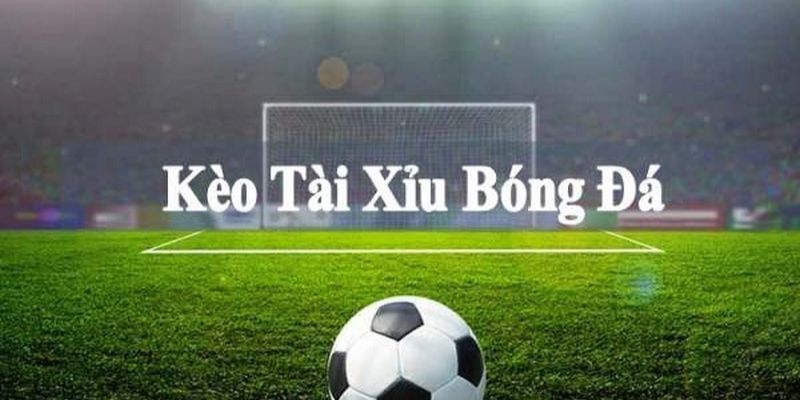 Hiểu rõ về Cách cá độ bóng đá tài xỉu