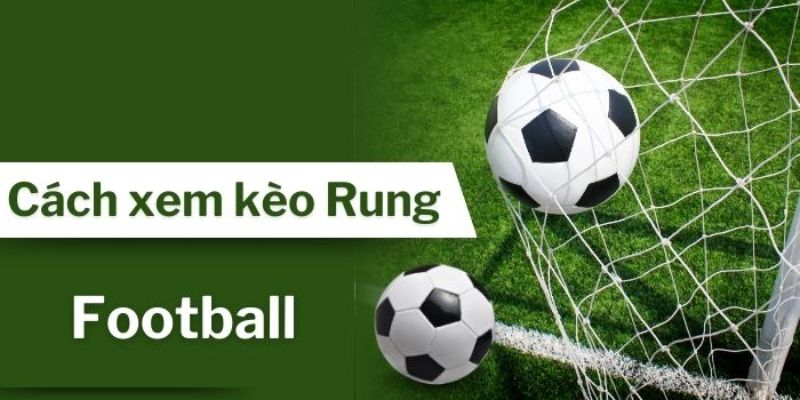 Hướng dẫn chi tiết cách xem kèo rung chính xác nhất