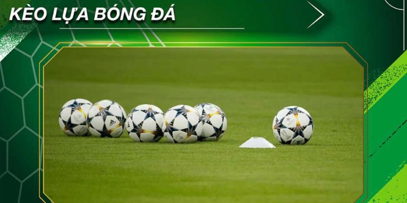 Kèo lựa ăn bao nhiêu Các dạng kèo lựa phổ biến và tỷ lệ ăn tương ứng