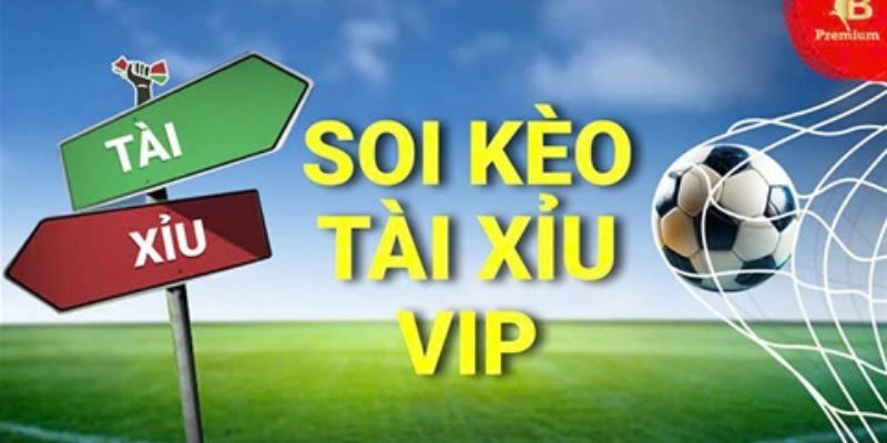 Hiểu rõ khái niệm và vai trò của soi kèo tài xỉu