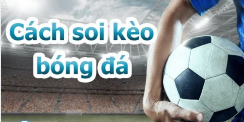 Lý do nên soi kèo Cup C2 kỹ lưỡng trước khi đặt cược