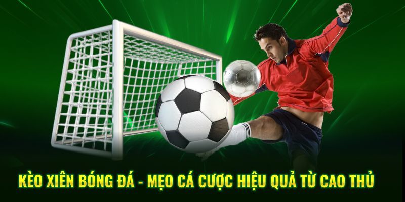 Mẹo và chiến thuật nâng cao hiệu quả khi soi kèo xiên