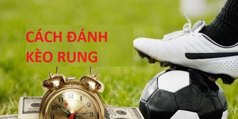 Cách xem kèo rung Một số mẹo nhỏ giúp tăng hiệu quả cách xem kèo rung