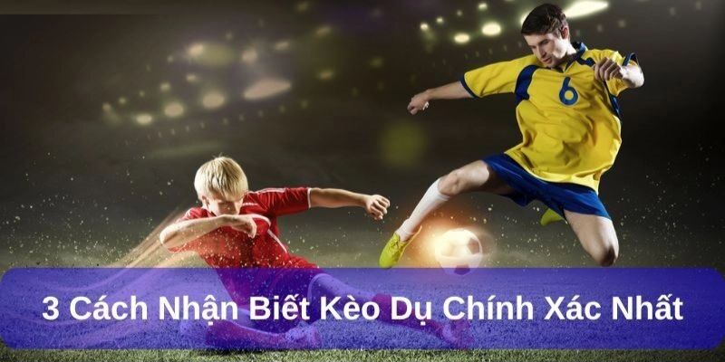 Cách nhận biết kèo dụ Những dấu hiệu để nhận biết kèo dụ nhà cái