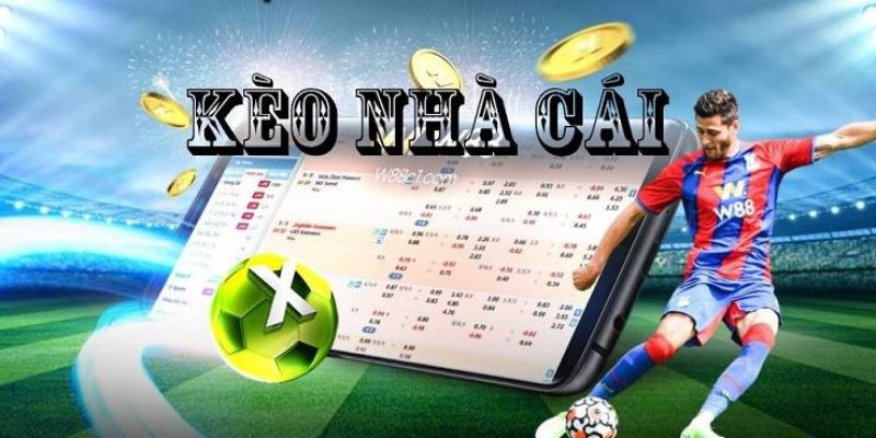 Tỷ lệ cá cược bóng đá nhà cái Những yếu tố ảnh hưởng đến tỷ lệ cá cược bóng đá nhà cái