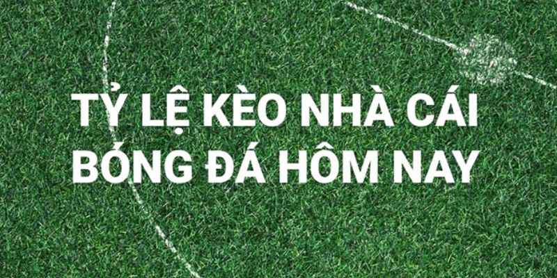 Tổng quan về tỷ lệ kèo nhà cái hôm nay và vai trò trong cá cược