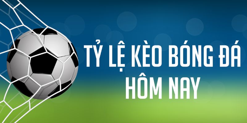 Vai trò của tỷ lệ kèo hôm nay trong thế giới cá cược thể thao