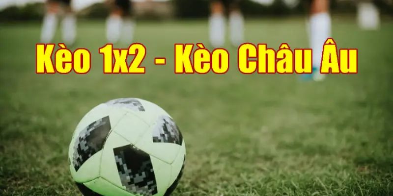 Vì sao tỷ lệ kèo châu Âu được ưa chuộng toàn cầu?